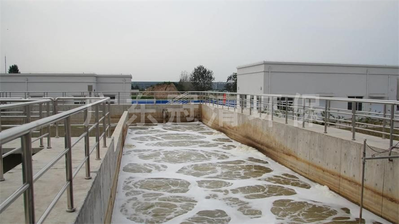 1-250520095S3517.jpg